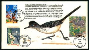 #3391a Wile E Coyote Combo - Unknown Cachet!