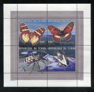 Chad 681 ad sheet, MNH, $6.00. Butterflies & Insects, 1996. x24060