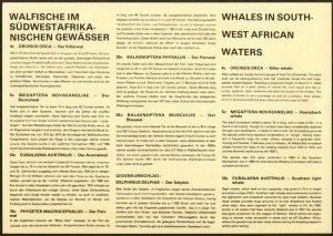 SOUTH WEST AFRICA Sc#437-442 1980 Whales Complete Set on Beautiful Cacheted FDC