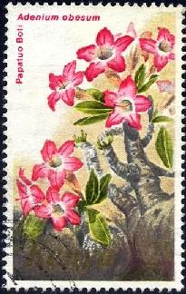 Flower, Adenium Obesum, Kenya stamp SC#255 used