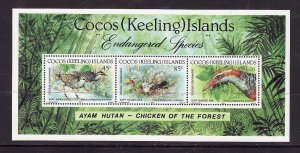 Cocos (Keeling) Is.-Sc#263- id10-unused NH sheet-Birds-WWF-1992-