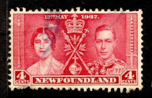 Newfoundland Stamp #231 USED  SINGLE