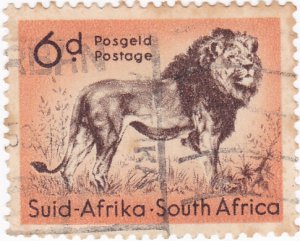 South Africa - 1954 - Wild AnimalsLion - 6d used