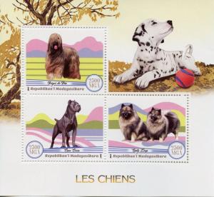 Madagascar 2017 MNH Dogs 3v M/S Chiens Pets Domestic Animals Stamps