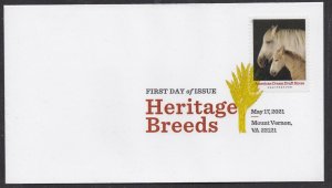 US 5590 Heritage Breeds American Cream Draft Horse DCP FDC 2021