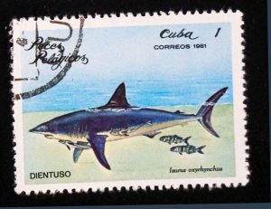 CUBA Sc# 2385  ARCHIPELAGO WILDLIFE marine fish   1c  1981 used cto