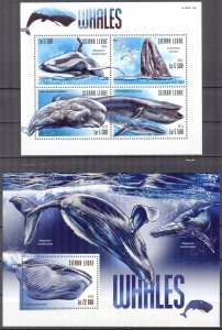 Sierra Leone 2015 Marine Life Whales Sheet + S/S MNH