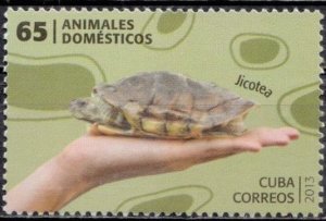 Cuba Sc# 5378  DOMESTIC ANIMALS turtle  2013 mint MNH