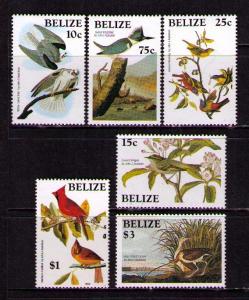 BELIZE Sc# 750 - 755 MNH FVF Set6 Birds Kingfisher Curlew