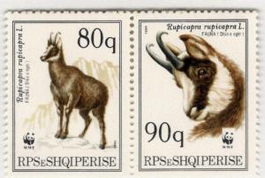 1990 Albania SC #2335a WWF MOUNTAIN GOATS  MNH stamp