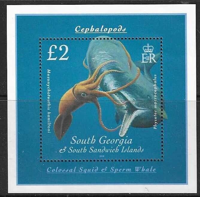 S.GEORGIA & S.SANDWICH IS. SGMS491 2010 CEPHALOPODS MNH