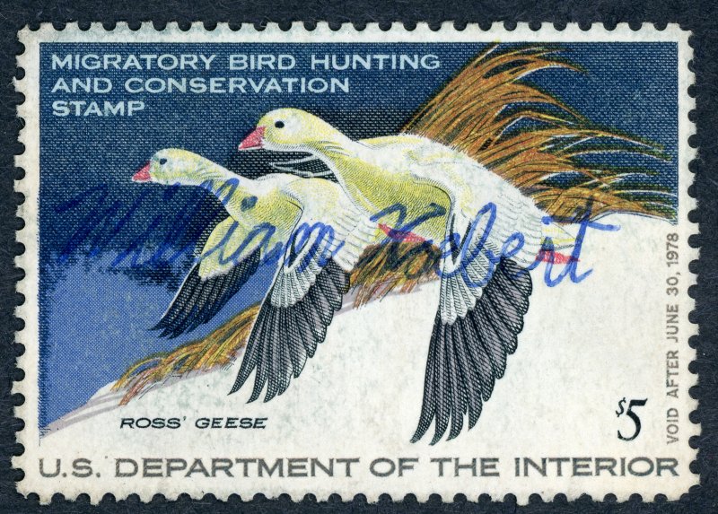 #RW44 – 1977 $5.00 Pair of Ross' Geese. Used.