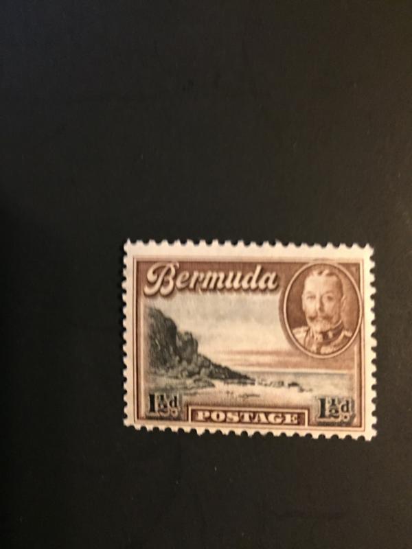 Bermuda #107