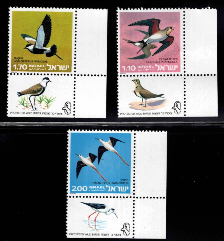 ISRAEL Scott 577-579 MNH**  Bird set with tabs