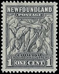 NEWFOUNDLAND   #253 MH (2)