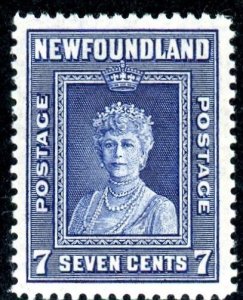 Newfoundland, Scott #258, Mint, Never Hinged