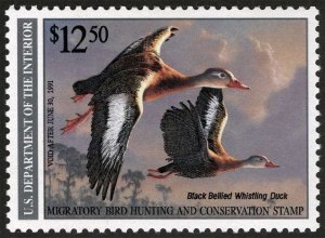 US Sc RW57 Multicolor $12.50 1990 Mint Never Hinged Original Gum Duck Stamp