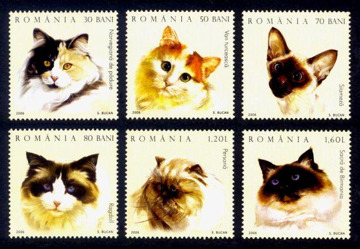 Romania Sc# 4778-83 MNH Cats