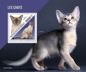 GUINEA - 2021 - Cats- Perf Souv Sheet - Mint Never Hinged