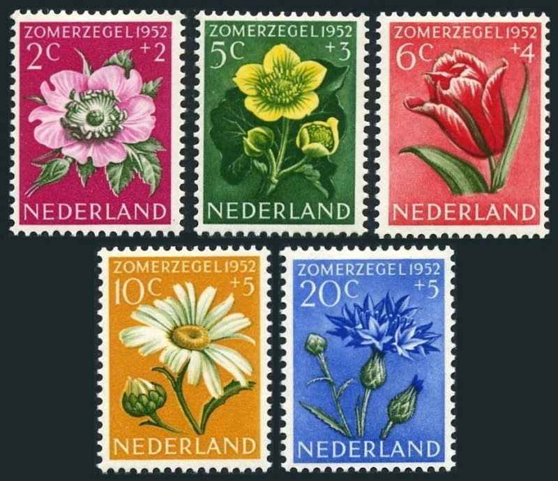 Netherlands B238-B242, hinged. Mi 588-592. Flowers 1952. Rose, Marigold, Tulip,
