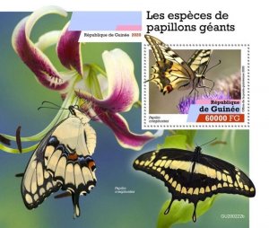 Guinea - 2020 Giant Butterfly Species - Stamp Souvenir Sheet - GU200222b
