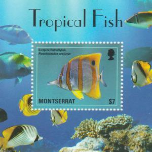 MONTSERRAT   Tropical Fish