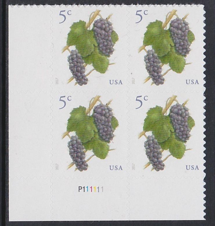 US 5177 Grapes Plate Block MNH