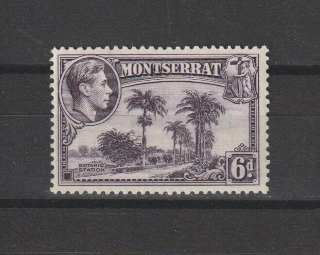 MONTSERRAT 1938/48 SG 107 MINT Cat £25