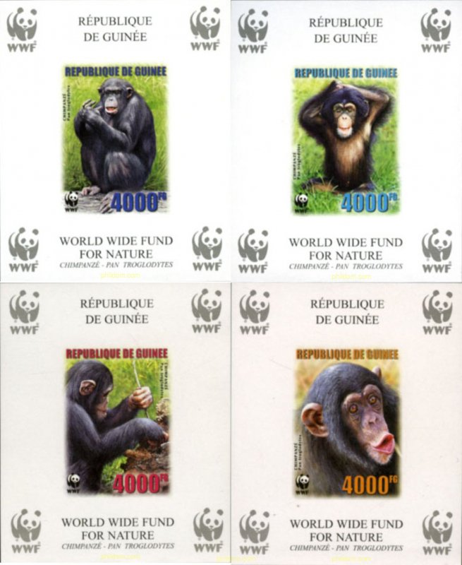 184034 MNH GUINEA 2006 CHIMPANCE