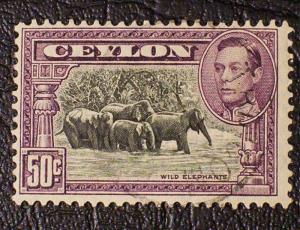 Ceylon Scott #286e used