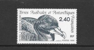 BIRDS - F,S.A.T. #213