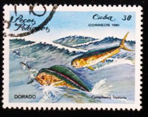 CUBA Sc# 2389  ARCHIPELAGO WILDLIFE marine fish   30c  1981 used cto