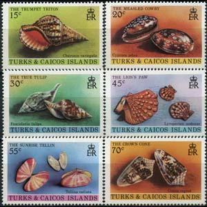 TURKS & CAICOS 1980 - Scott# 434-9 Sea Shells Set of 6 NH