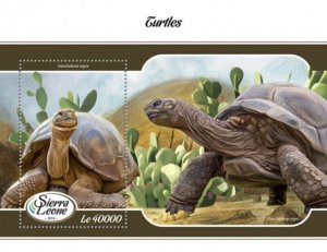 Sierra Leone - 2018 Turtles & Tortoises - Souvenir Sheet - SRL18015b