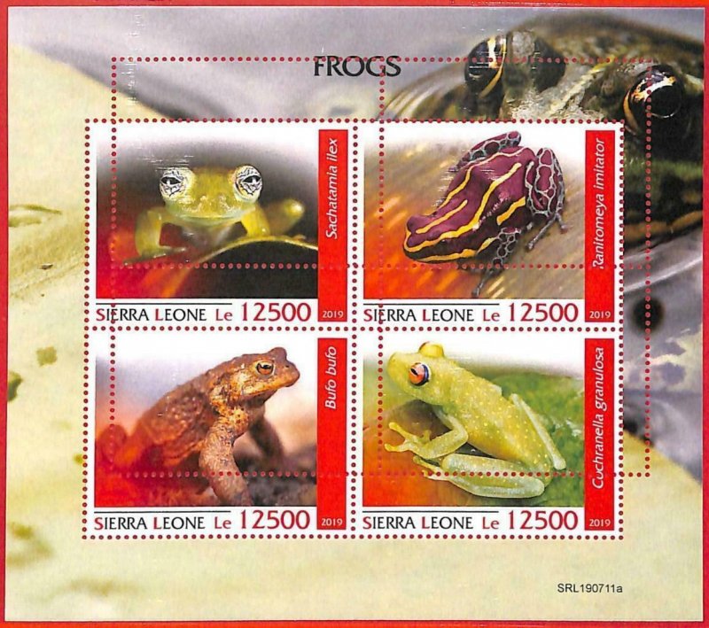 A4537 - SIERRA LEONE - ERROR MIPERF, small bow: 2019, frogs, marine life-