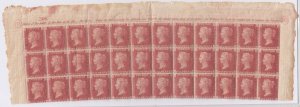 SG 43 1d rose-red plate 173 top 3 rows of sheet with full outer margins... 