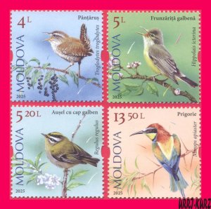 MOLDOVA 2025 Fauna Animals Song Birds 4v MNH