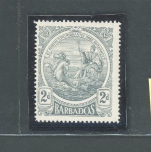 1916-19 BARBADOS, Stanley Gibbons #184, 2d. grey - MNH**