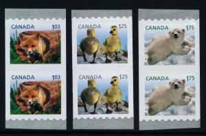 Canada 2427-9 Coil Pairs MNH Red Fox, Canada Geese, Polar Bear, Baby Wildlife