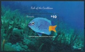 [109077] Grenada 2015 Marine life fish Yellowtail Damsel Souvenir Sheet MNH