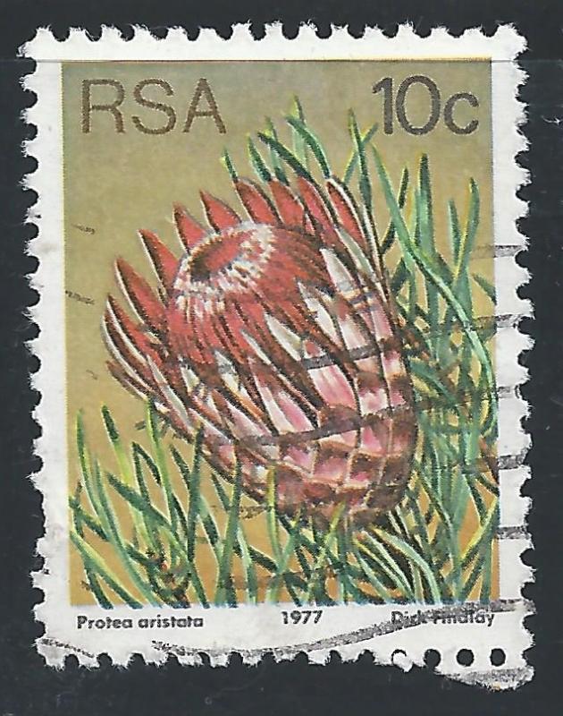 South Africa #484 10c Sugarbush - P Aristata