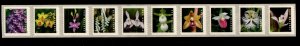 #5435 - 5444 Wild Orchids Coil Strip/10  - MNH