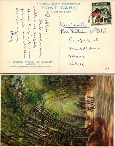 Jamaica, Picture Postcards