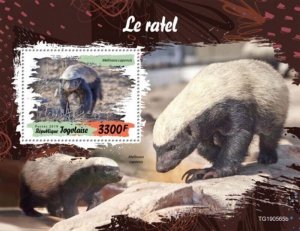 Togo - 2019 Honey Badger on Stamps - Stamp Souvenir Sheet - TG190565b