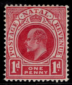 SOUTH AFRICA - Natal EDVII SG147, 1d carmine, M MINT. Cat £12.