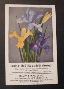 1944 USA Postcard Cover New York NY to Brandford CT Dutch Iris Stumpp Walter Co