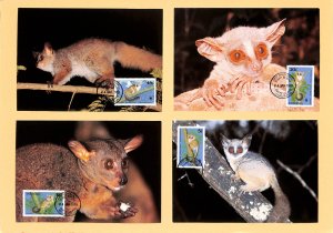 Tanzania WWF World Wild Fund for Nature maxi cards maximum cards