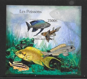 FISH - COMORO ISLANDS  MNH