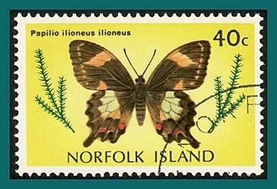 Norfolk Island 1977 Butterflies Moths 3, 40c used #214,SG192