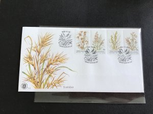 Bophuthatswana  1981 Tamba Plants stamps cover R33691